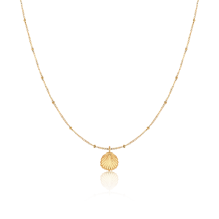 Collar de conchas