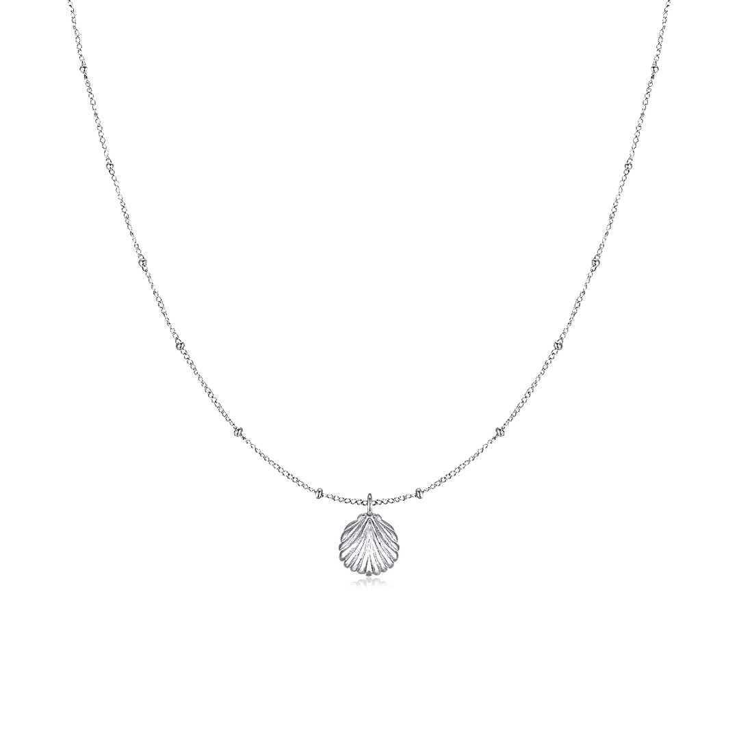 Collar de conchas