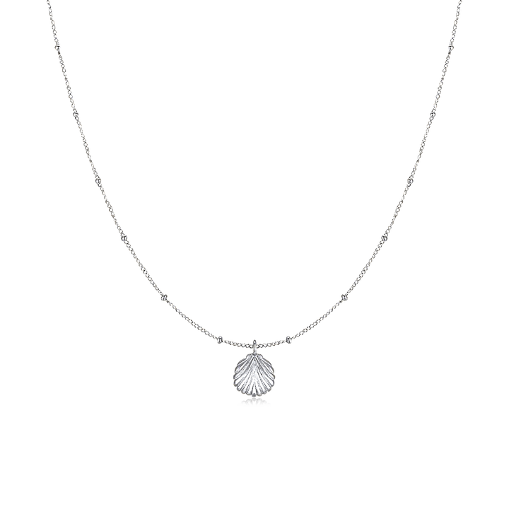 Collar de conchas