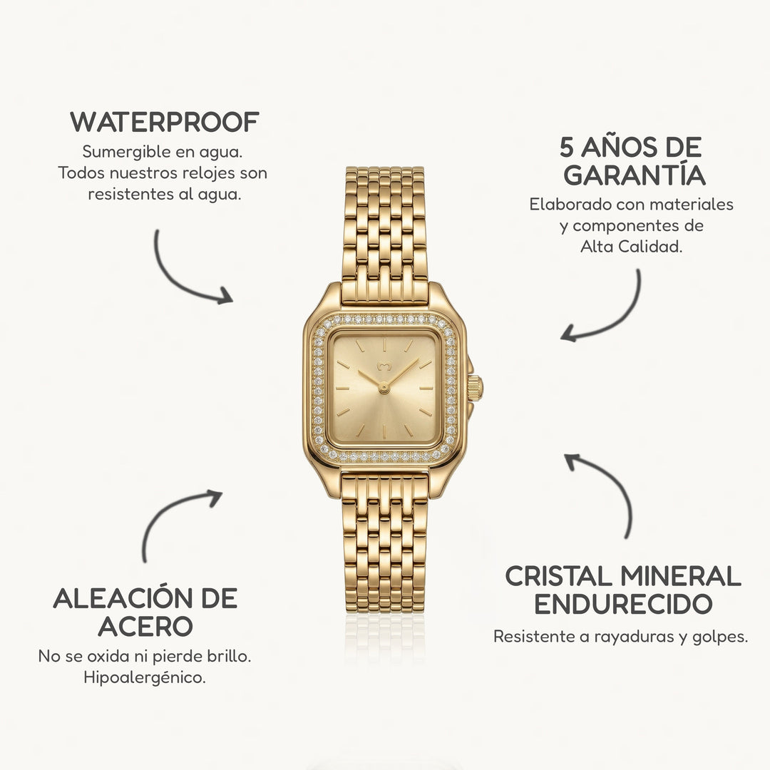 Reloj ~ Hampton Lux GoldPassion