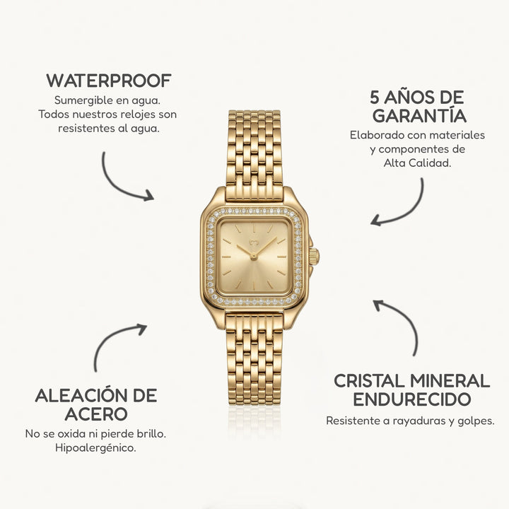 Reloj ~ Hampton Lux GoldPassion