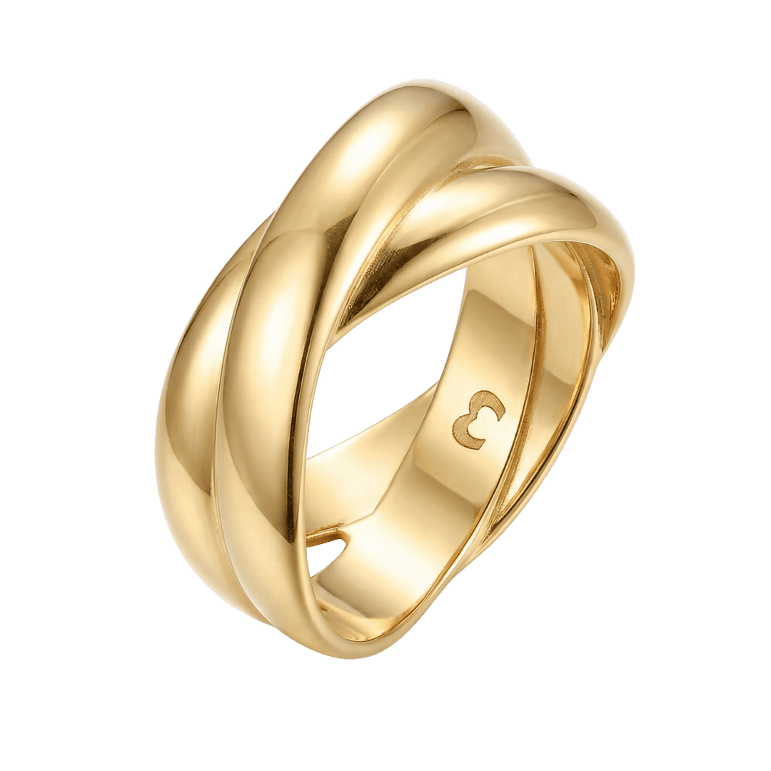 Anillo Abrazado