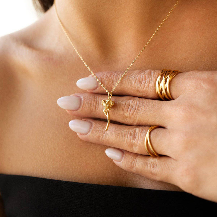 Anillo de Ramificación