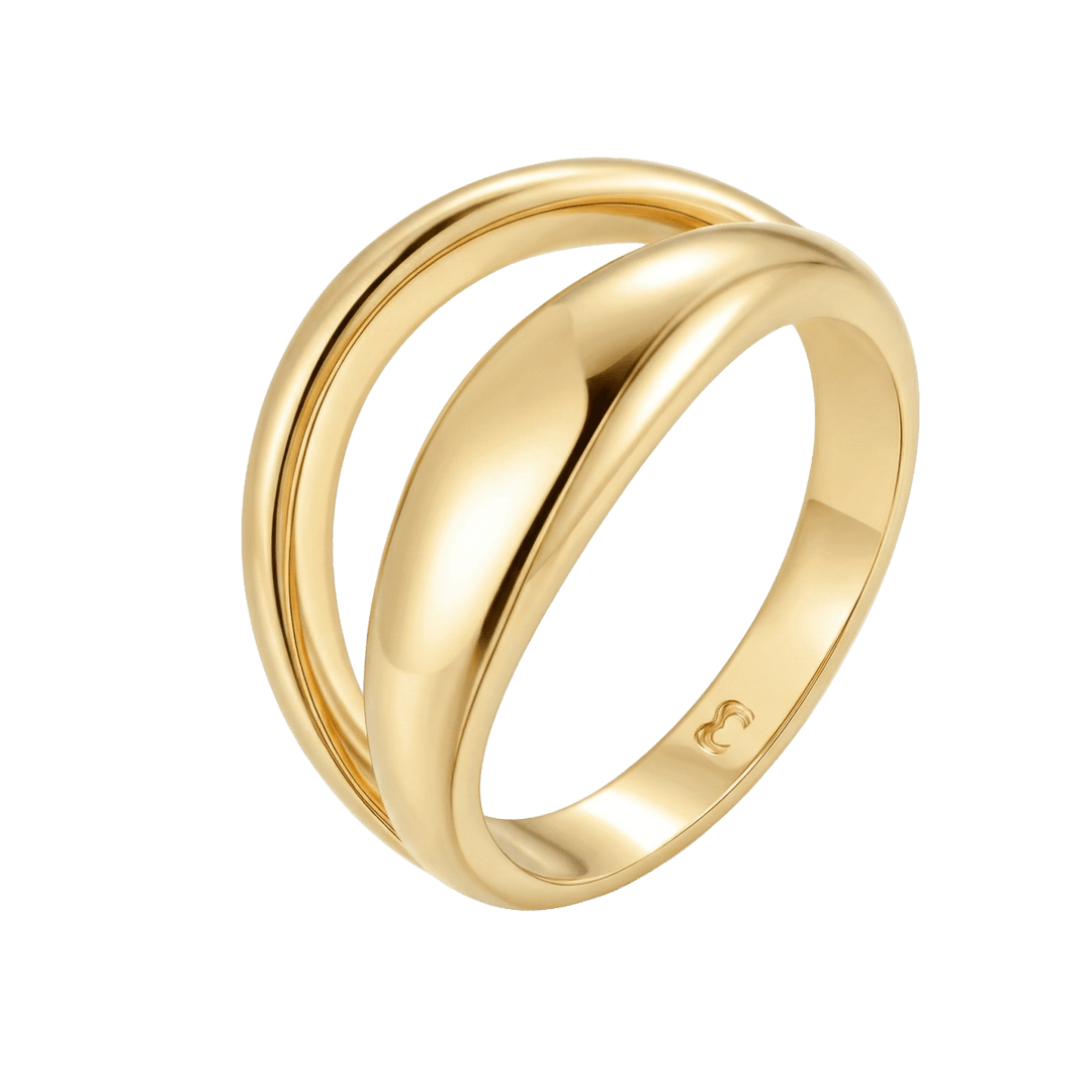 Anillo Doble Banda