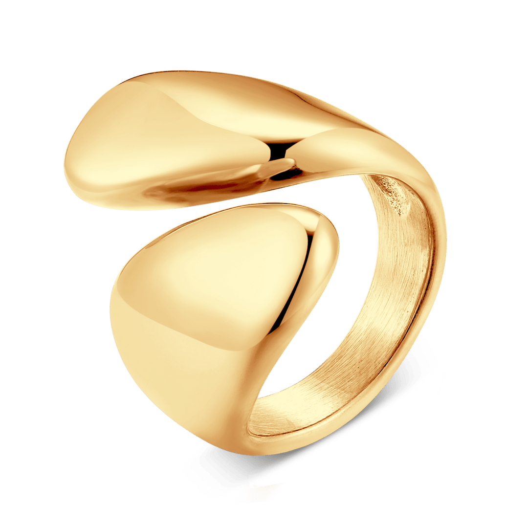 Anillo Envolvente