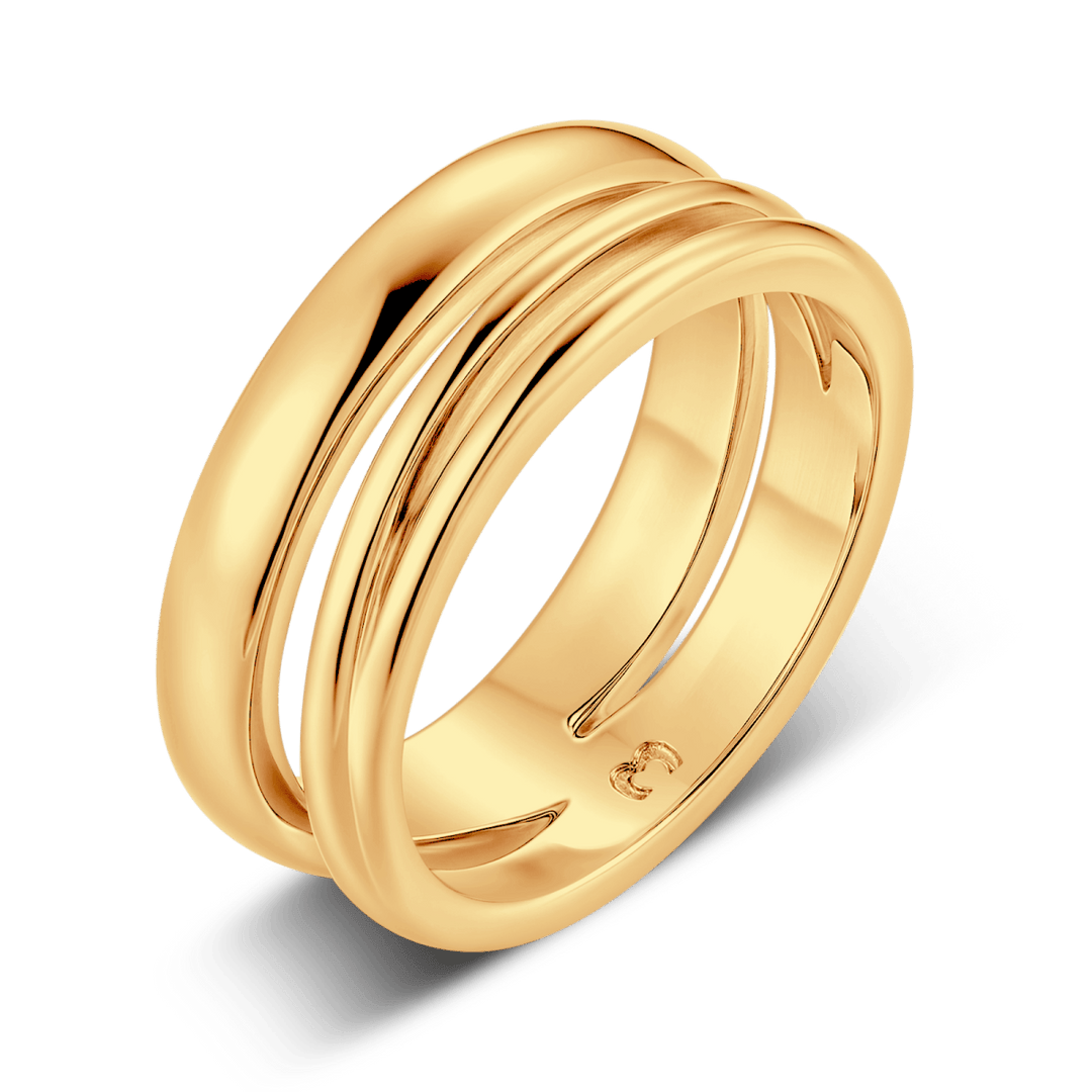 Anillo Líneas Elevadas