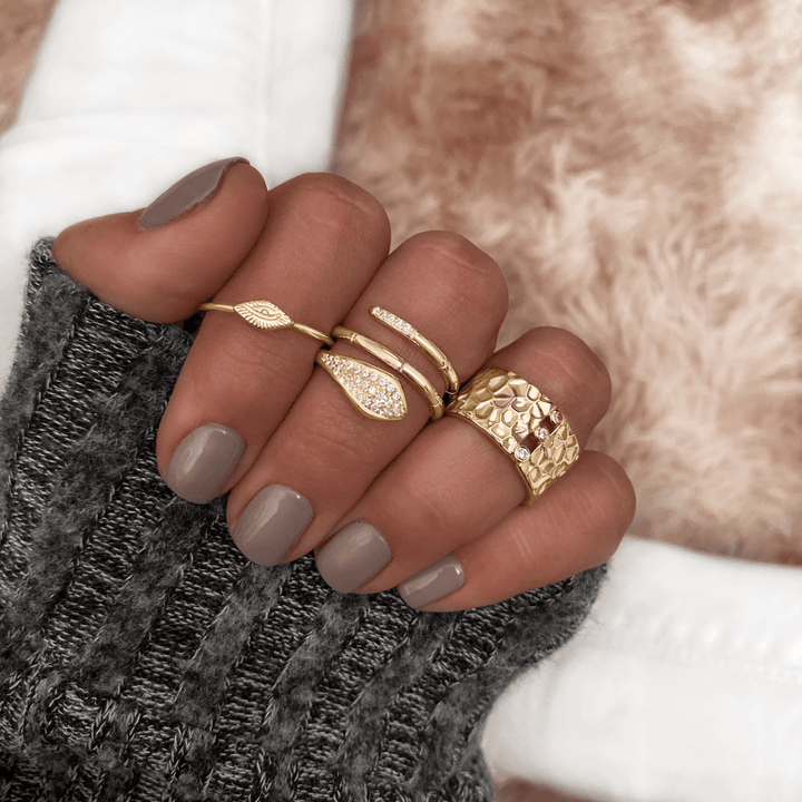 Gran Anillo