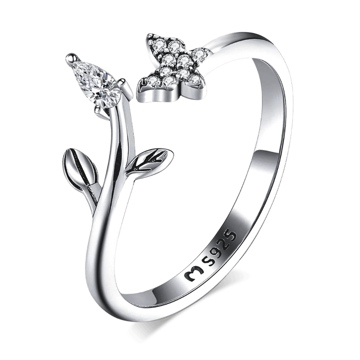Anillo de la Naturaleza