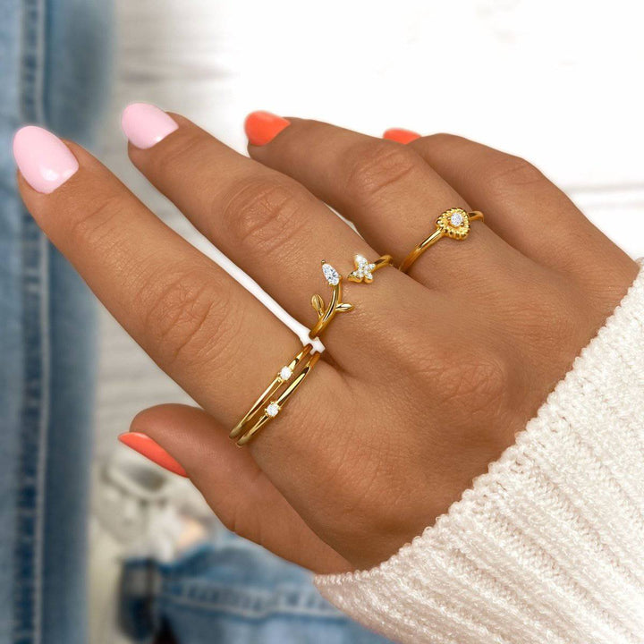 Anillo de la Naturaleza