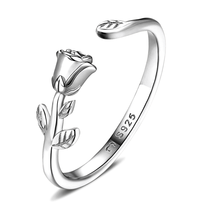 Pequeño Anillo Rosa