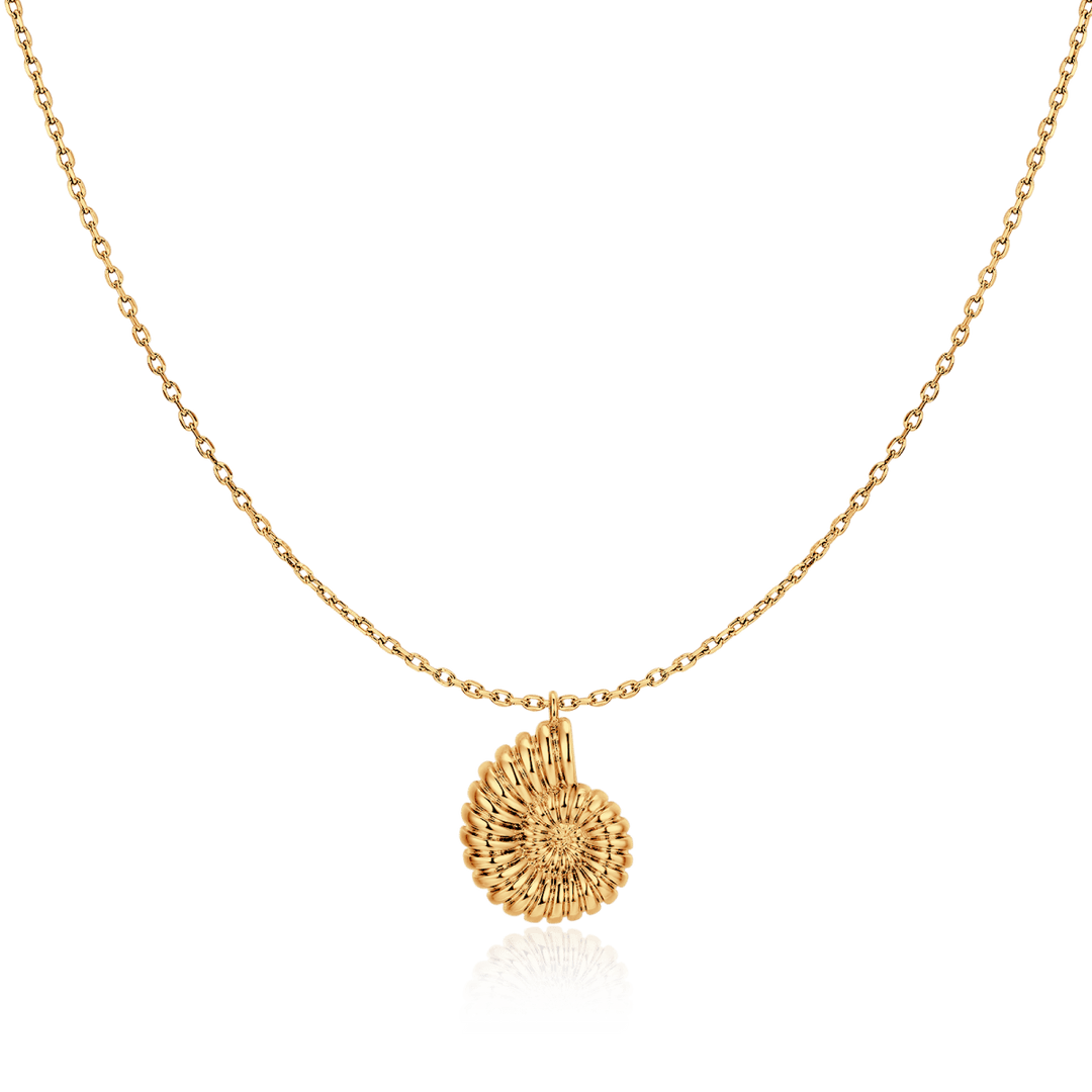 Collar Concha de Nautilus