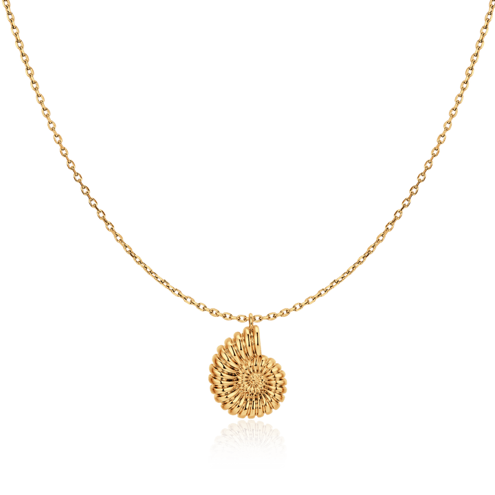 Collar Concha de Nautilus