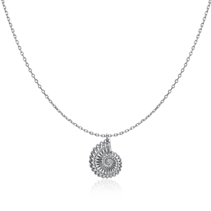 Collar Concha de Nautilus