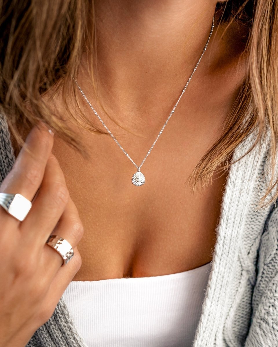Collar de conchas