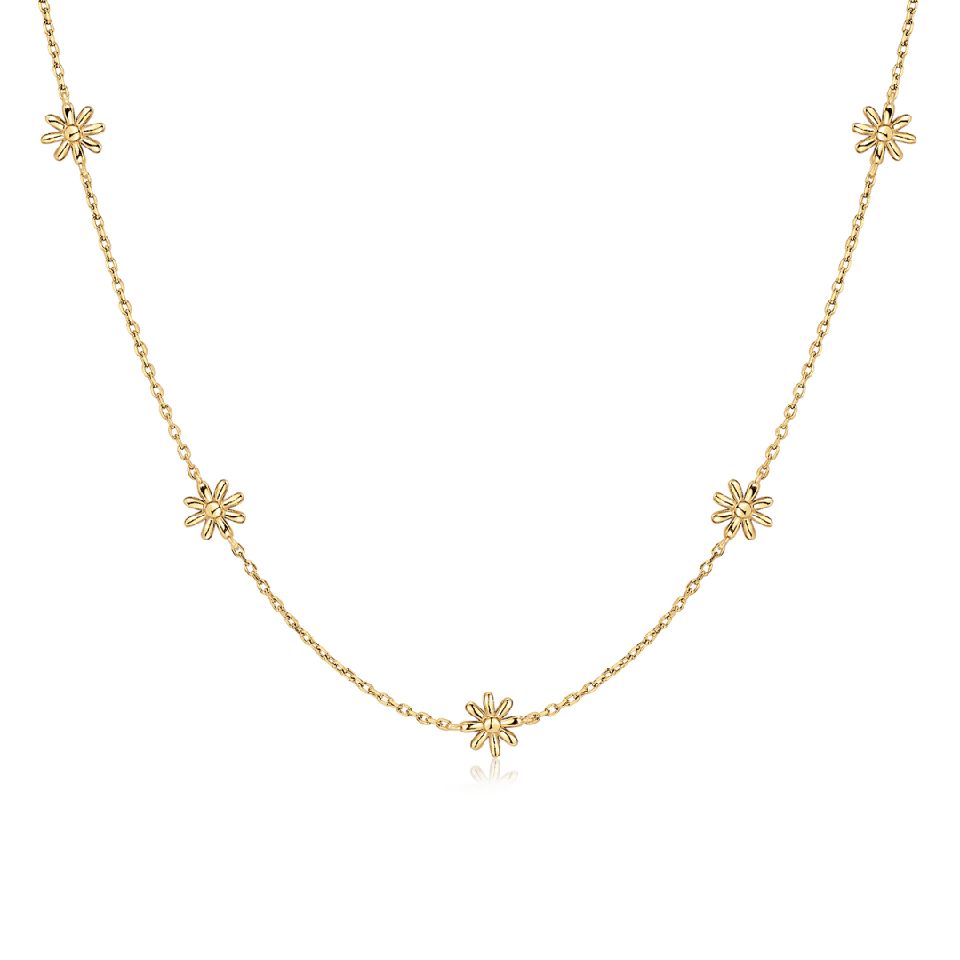 Collar Hábitat