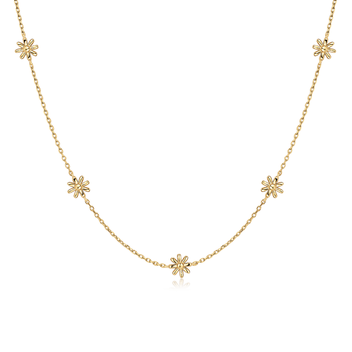 Collar Hábitat