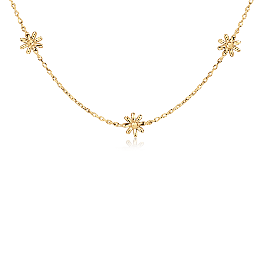Collar Hábitat