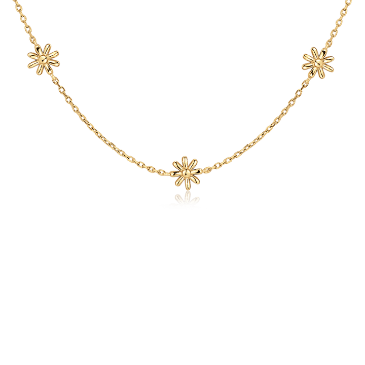Collar Hábitat