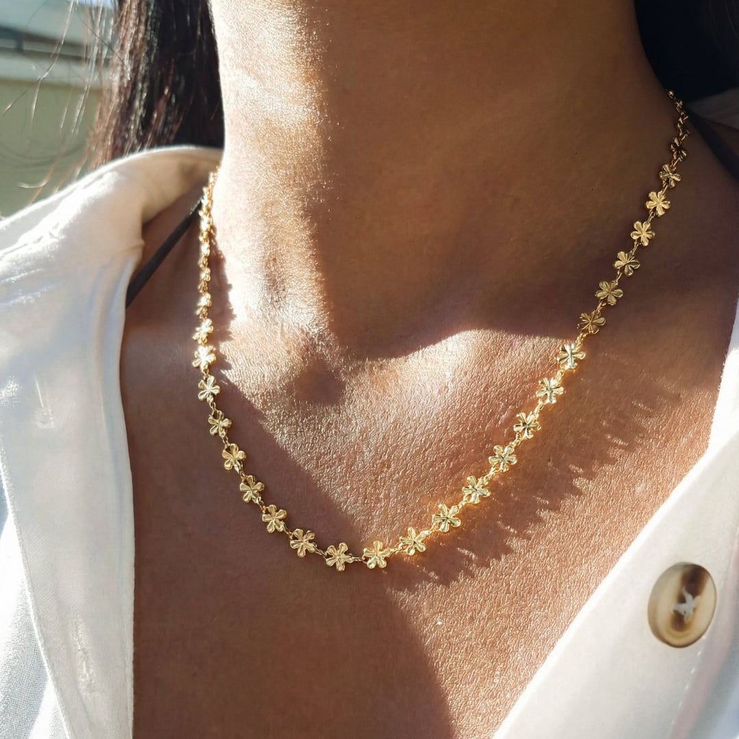 Collar Hawaii