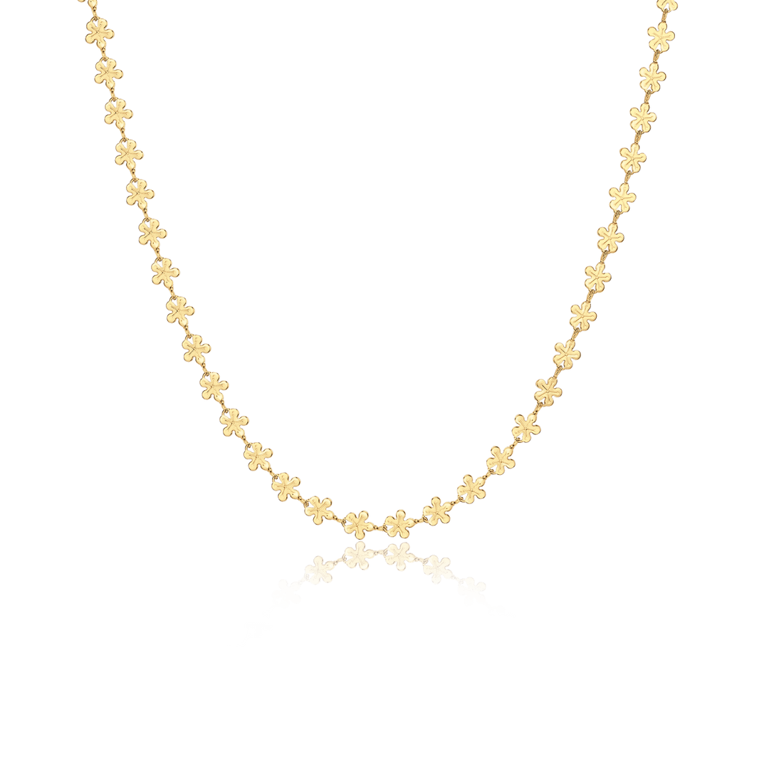 Collar Hawaii