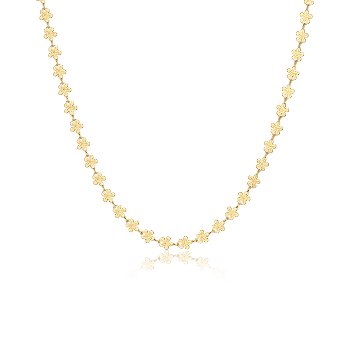 Collar Hawaii