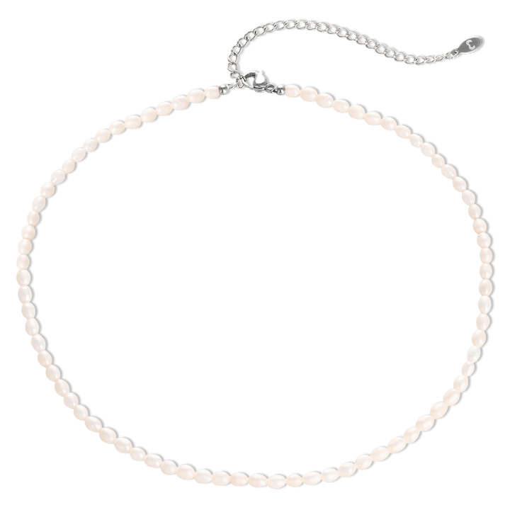 Collar Perlífero