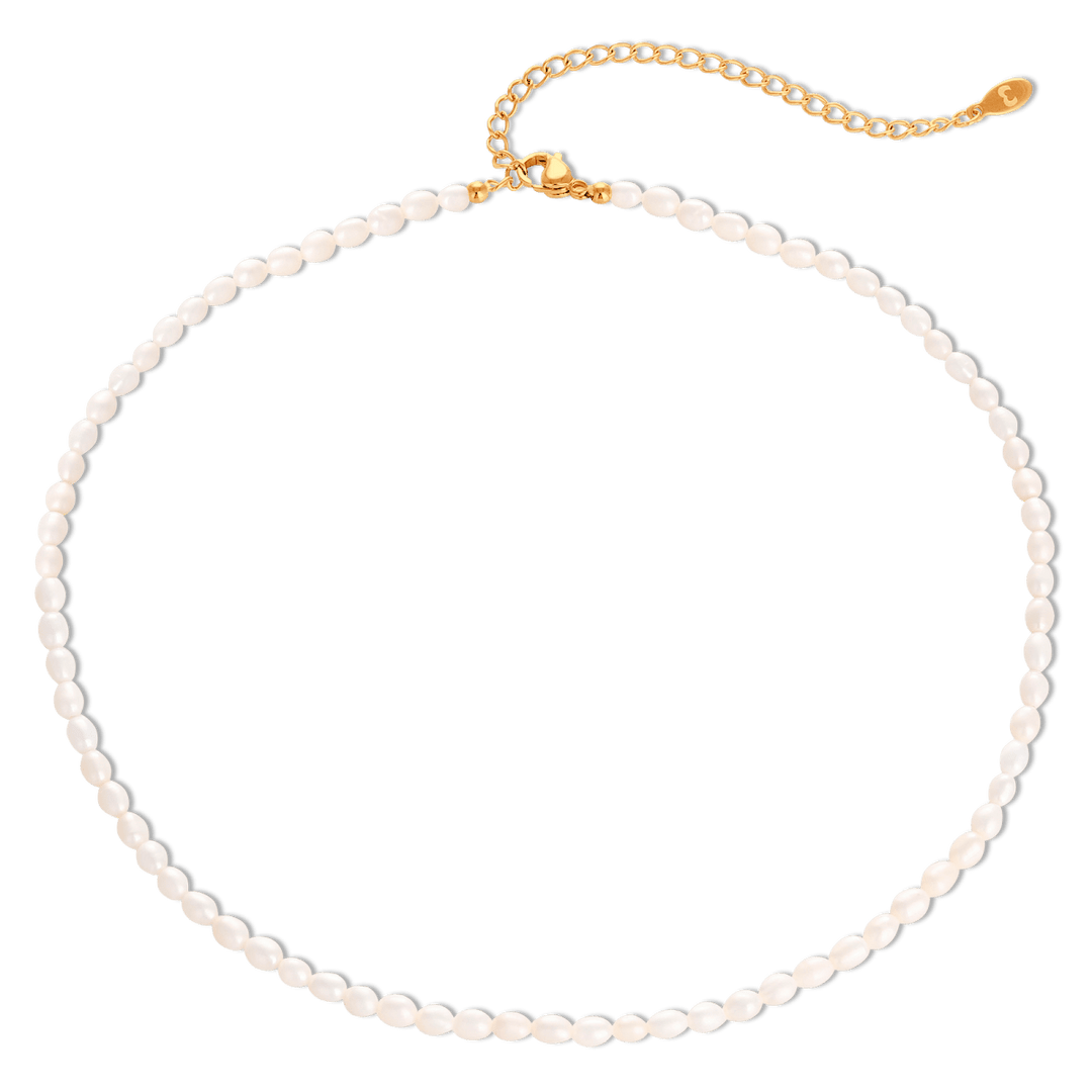 Collar Perlífero