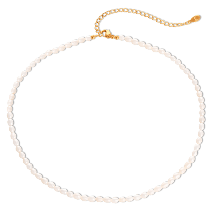 Collar Perlífero