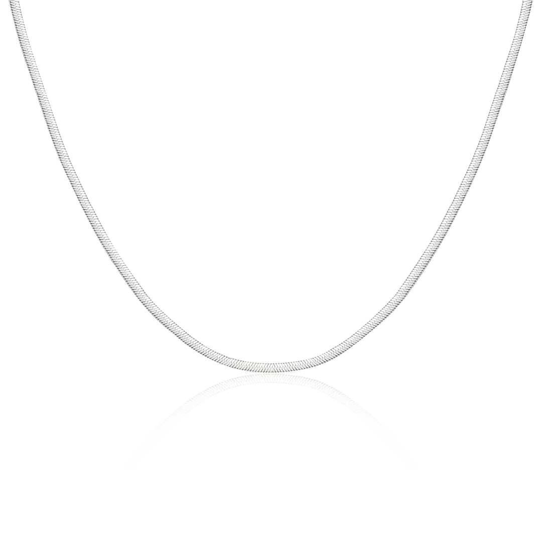 Collar Taylor 3MM