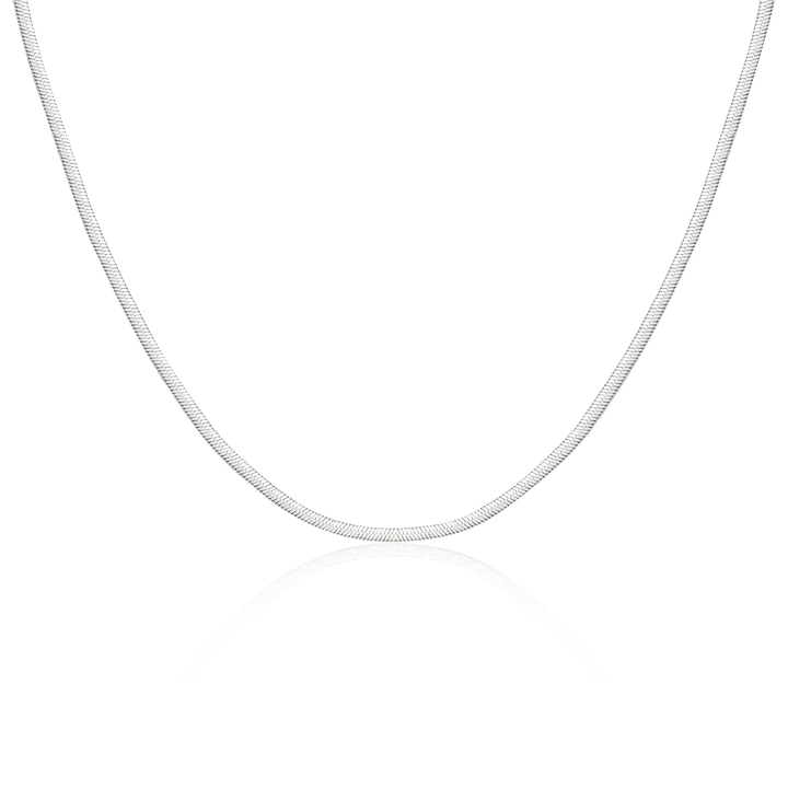 Collar Taylor 3MM