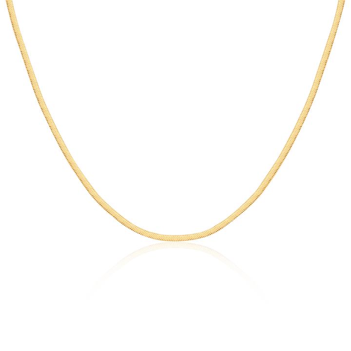 Collar Taylor 3MM