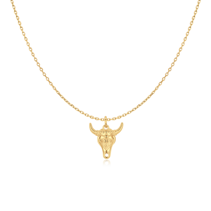 Collar Texas
