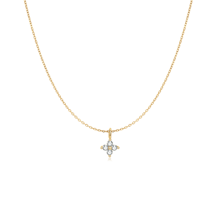 Collar Zebrina