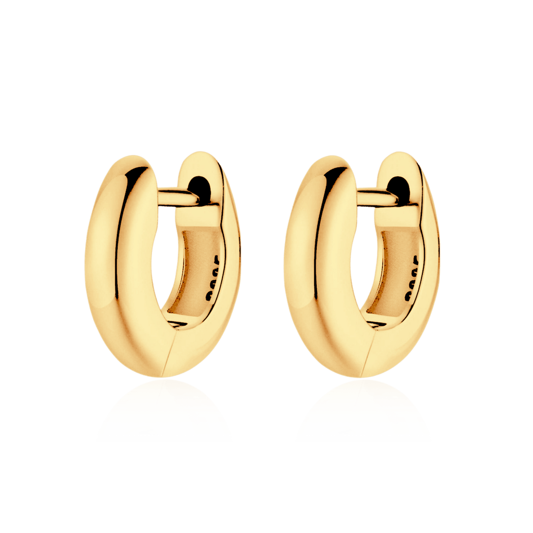 Pendientes Circulados