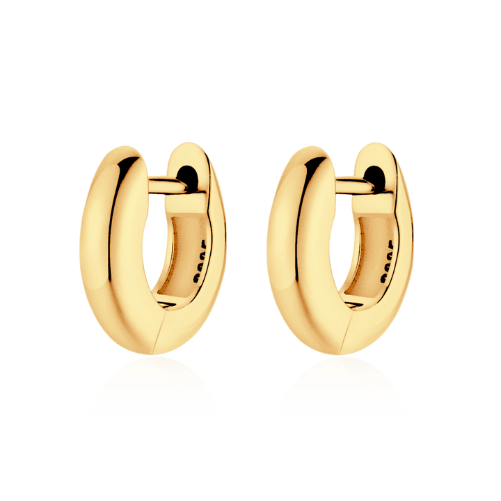 Pendientes Circulados