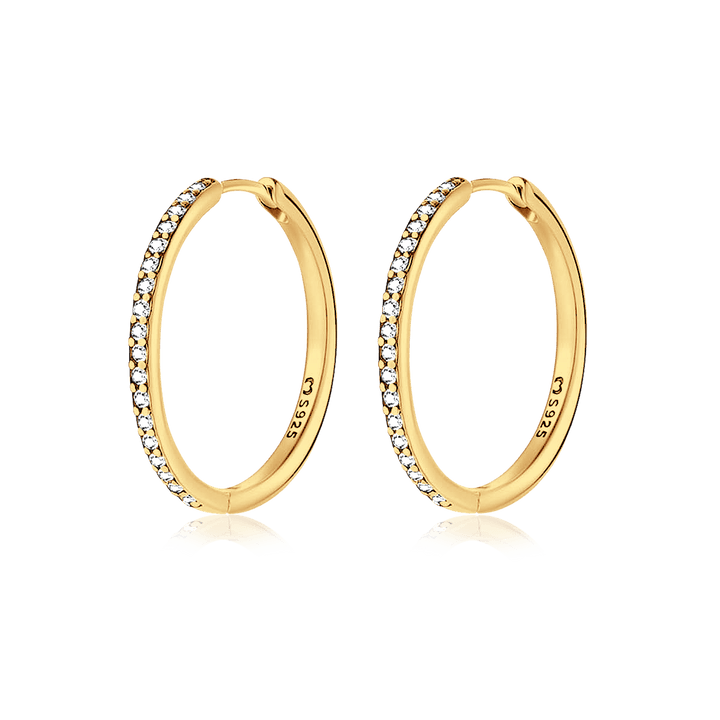 Pendientes Circo