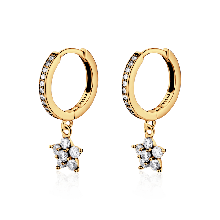 Pendientes de flores pequeñas brillantes