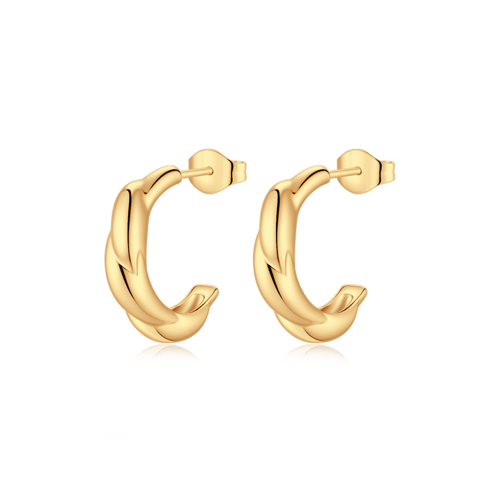 Pendientes Semiaro Relieve