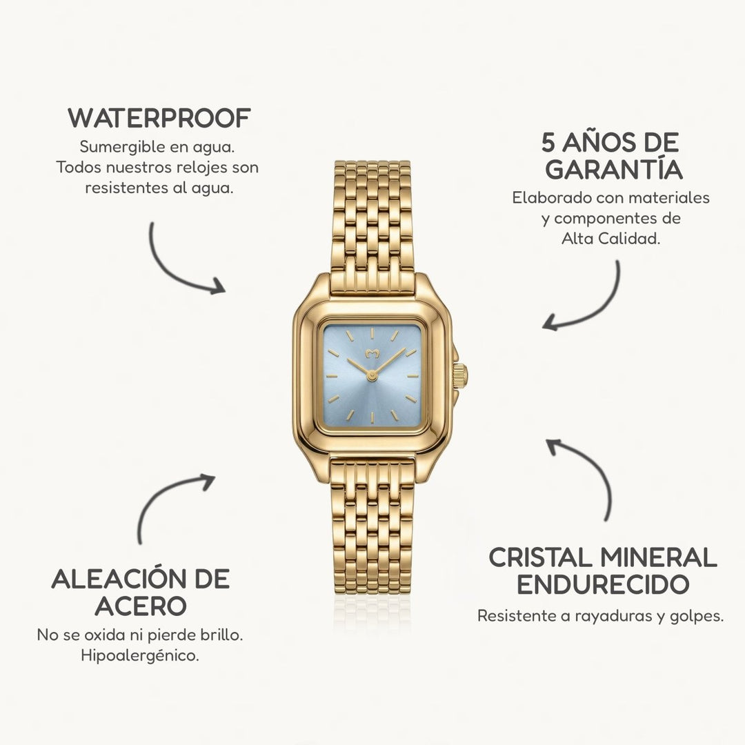Reloj ~ Hampton Gold-Blue