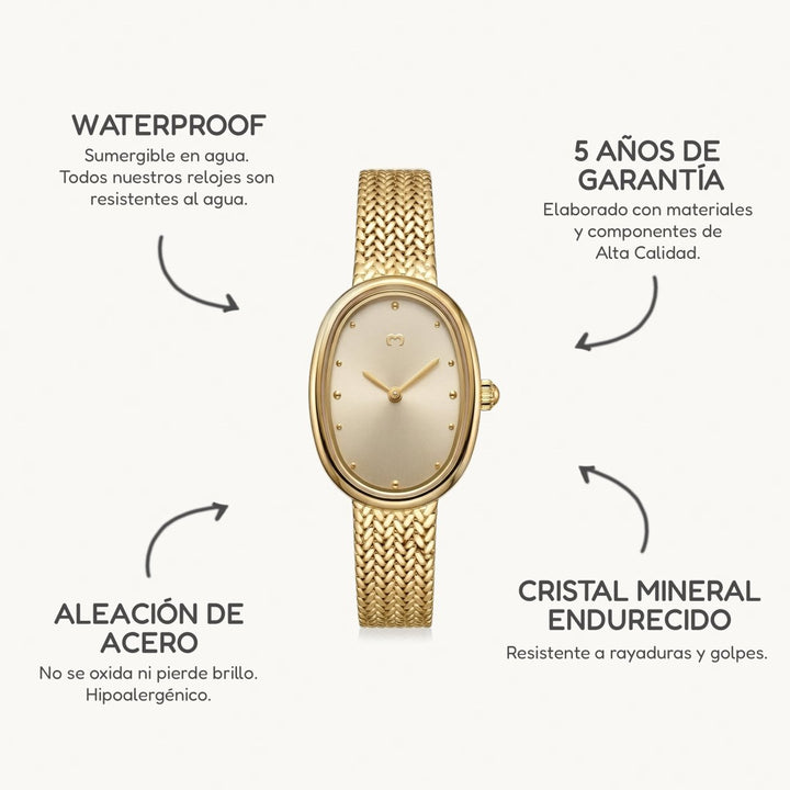 Reloj Vintage Royale ~ Oro